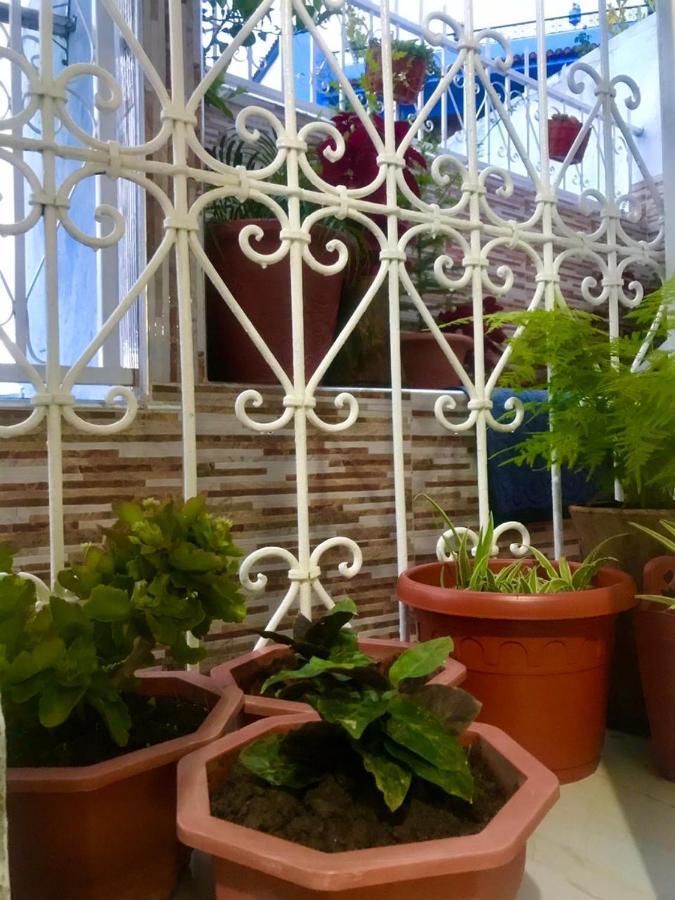Apartmán Dar Sidi Mfedal Šafšawán Exteriér fotografie