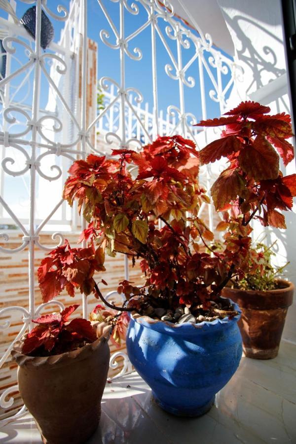 Apartmán Dar Sidi Mfedal Šafšawán Exteriér fotografie